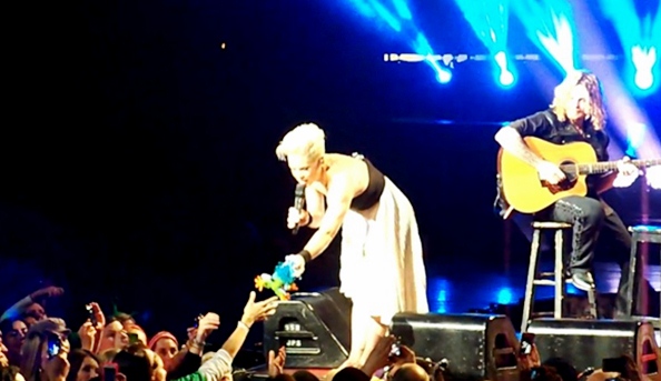 pink gives frog to child at concert