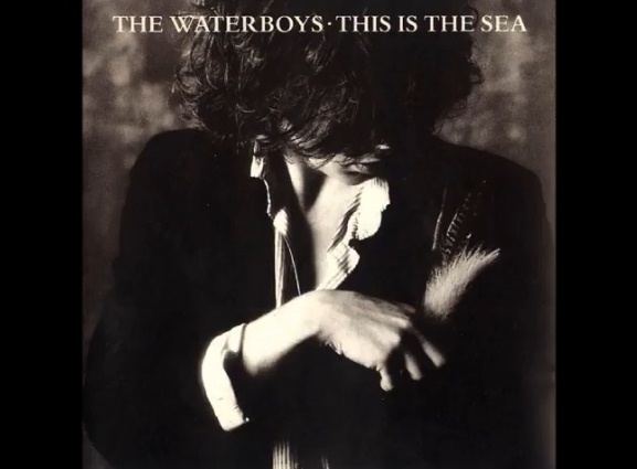 The Wateboys This is the Sea
