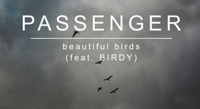 passenger-beautiful-birds-birdy
